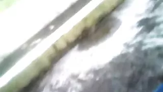 Par tinejdžera na otvorenom zabava ГФ dajem joj grudi na БФ