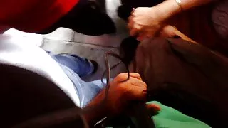 Arrimon a baka complaciente autobus P2