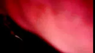 Шаря koncert encoxada