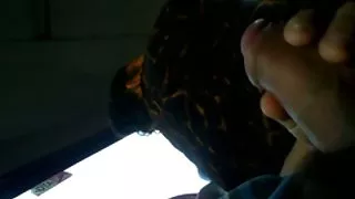 Treperi autobus 2