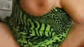 Njemački crnka zrela majka