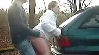 Zaustavi auto поиметь