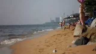 Rumenilo na plaži