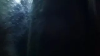 Moja supruga je skoro me pingvinom