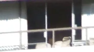 Drugi balkon поиметь dio 5 od 6