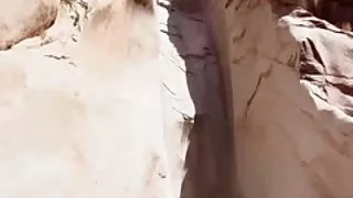 Plemenska moć snahbrandy
