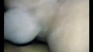 Bohsia di пондок