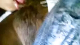 Kon atrakcija Amigo