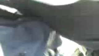 Drugi autobus grba