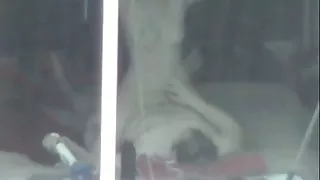 Voajer prozor seks parovi