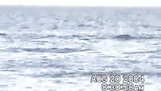 Seks na plaži