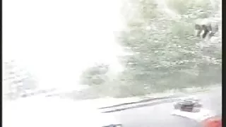 Britanska gangbang 1 ku